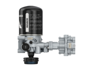 APS COMPLETA CHINOS VARIOS